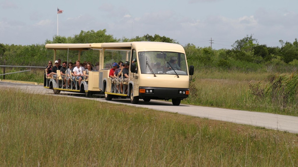 9:30AM Tram Tour on 6/13/24 @ 9:30 AM - Shark Valley Tram Tours